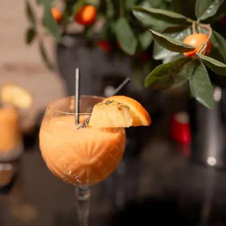 Monelly - Pesacka Zona Aparthotel Loznica